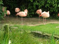 Donnerstag, 28.5.2015 Camprépus, Parc Paysager et Zoologique