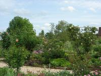 Freitag, 29.5.2015 Préaux-du-Perche, Jardin Francois, Rosengarten