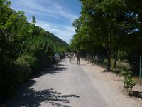 Abtei Senanque 