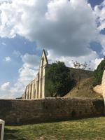 Abtei und Kathredale Maillezais, Marais Poitevin