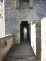 Aigues Mortes 