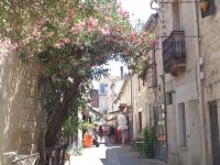 Aigues Mortes