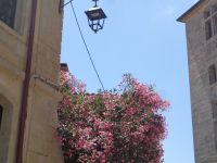Aigues Mortes