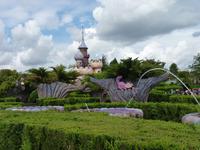 Alice's Curious Labyrinth