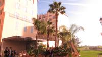 An der Promenade des Anglais