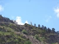 Arcalis