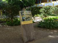 Arles - ehemaliges Krankenhaus, wo van Gogh behandelt wurde, Staffelei 