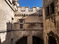 Arles Reattu Museum