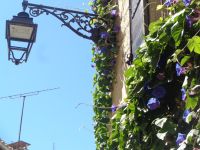 Arles