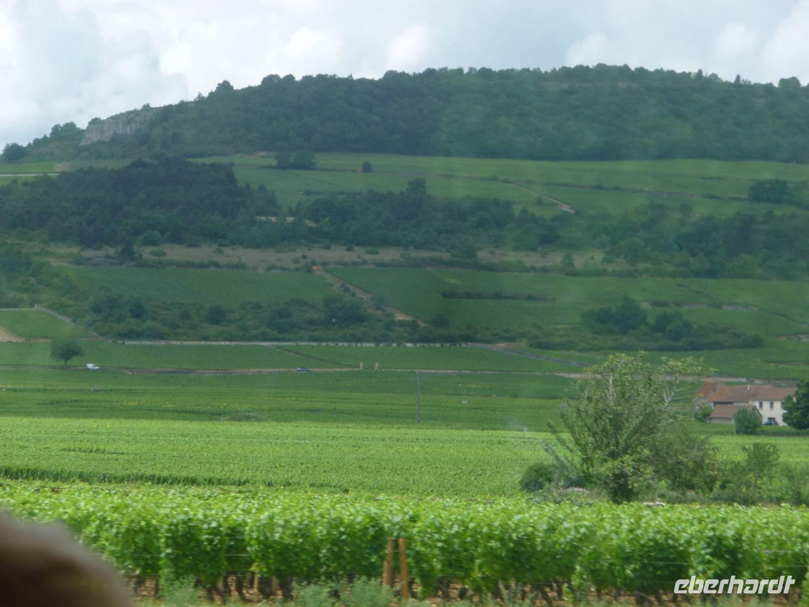 Ausflug nach Beaune durch Weinberge 