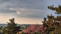 Aussicht von unserem Hotel in Amboise