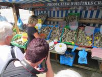 Austern in Cancale
