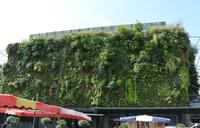 Avignon Markthalle
