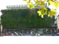 Avignon Markthalle