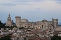 Avignon