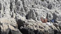 Baden ohne in den Calanques