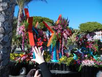 Bateille des fleurs