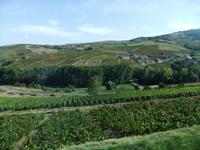 Beaujolais