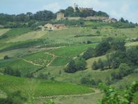 Beaujolais