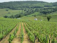 Beaujolais