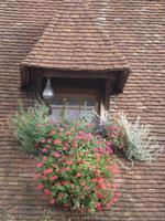 Beaune Detail