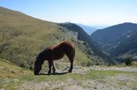 Bergwelt Andorras
