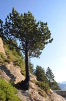 Bergwelt Andorras