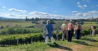 Besuch auf dem Weingut von Dominique Guillard in Oingt im Beaujolais