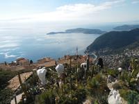 Blick auf Èze village und das Cap Ferrat