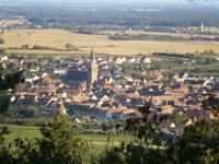 Blick auf Bergheim