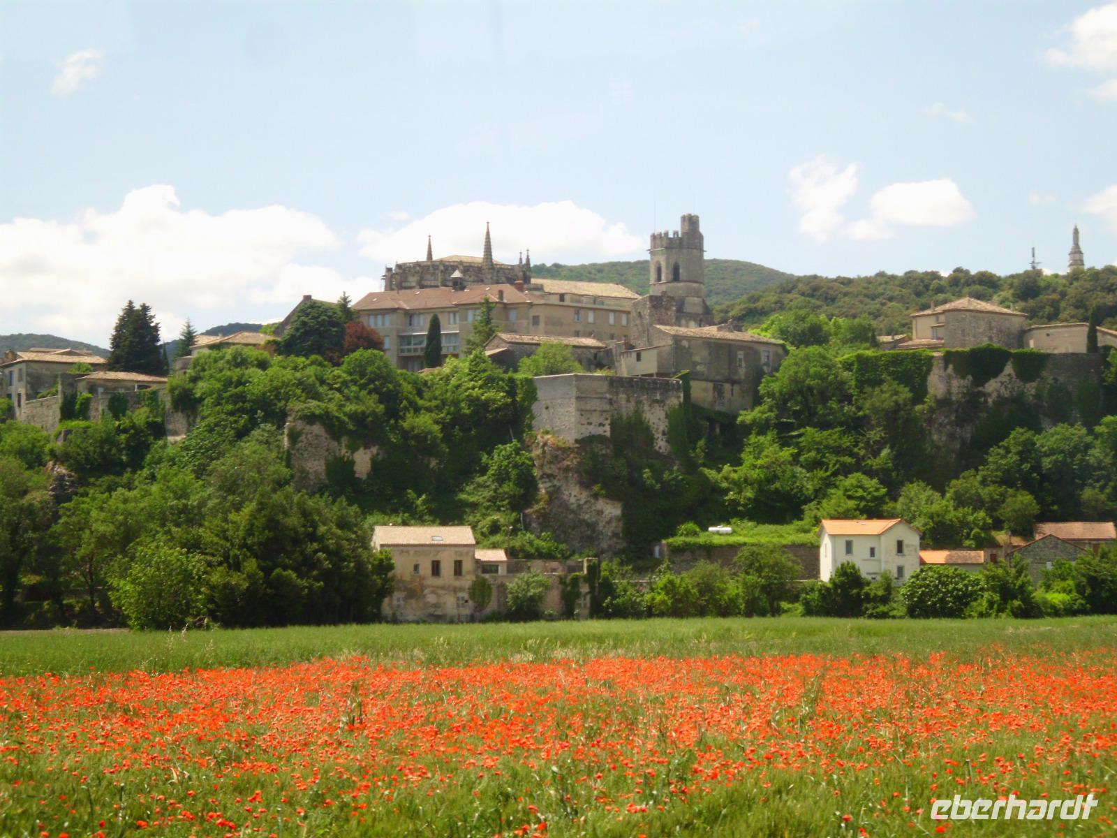 Blick auf Viviers