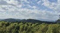 Blick auf die Pyrenäen