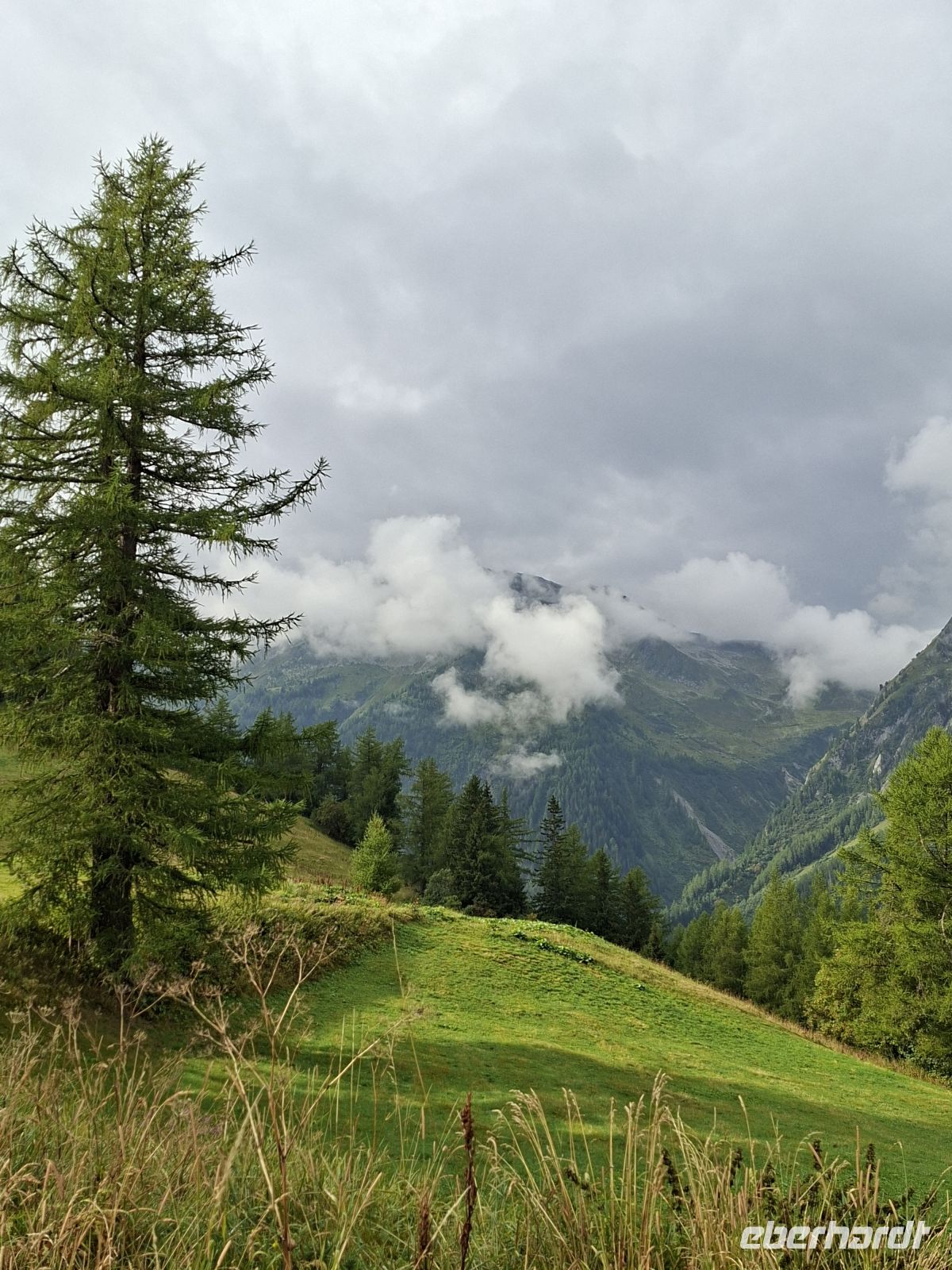 Blick vom Pass