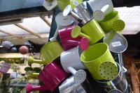 Blumenmarkt (1)