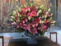Blumenpracht