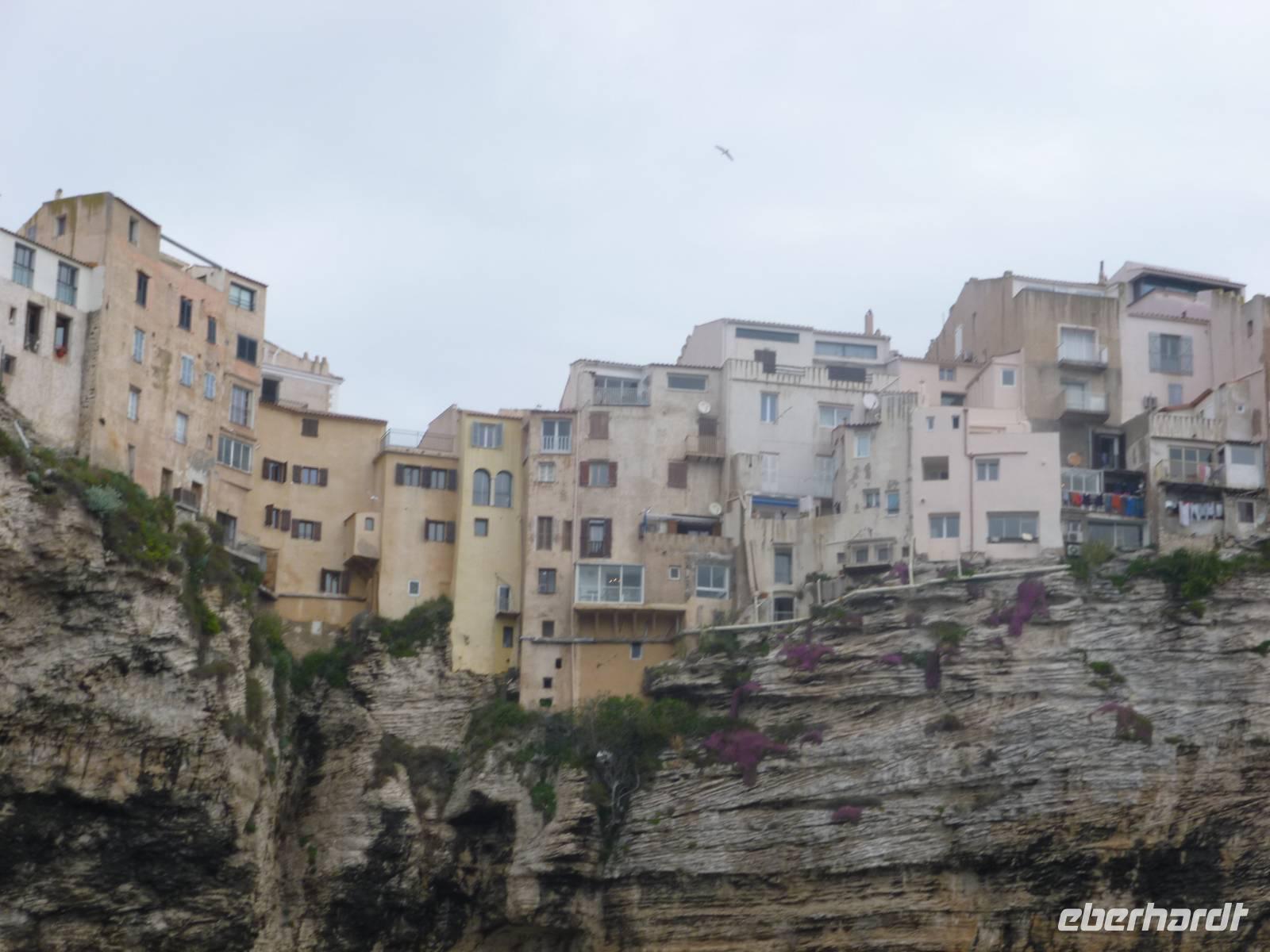 Bonifacio 