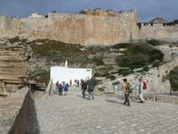 Bonifacio