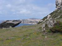 Bonifacio