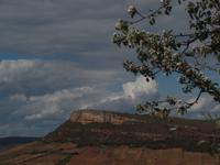 Burgund
