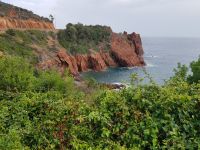 Côte Estérel