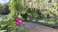 Caen: Colline des Oiseaux