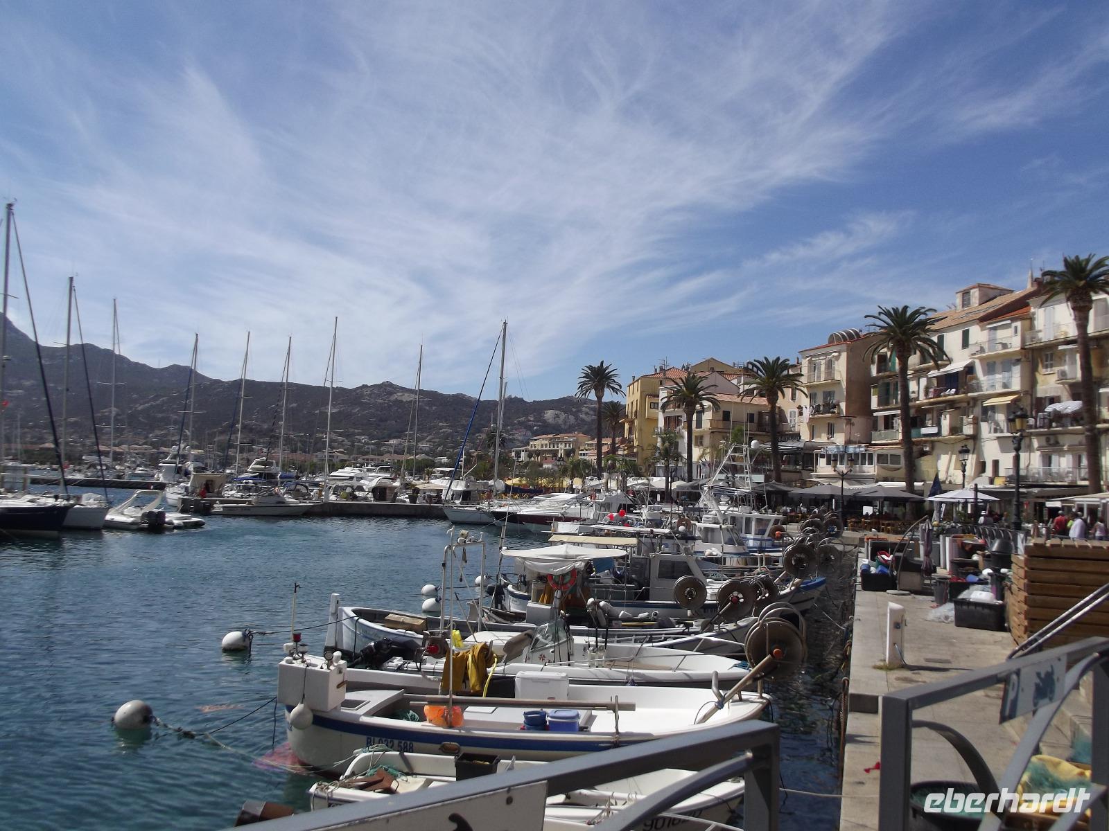 Calvi