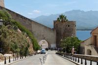 Calvi