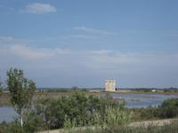 Camargue Bootsfahrt