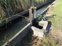 Camargue. Bewässerungssystem