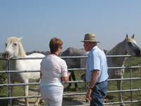 Camargue