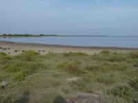 Camargue