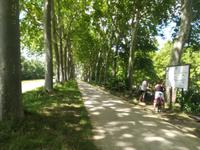 Canal du Midi