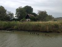 Canalfahrt in der Camargue
