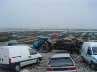 Cancale.Austernbänke (Archiv)